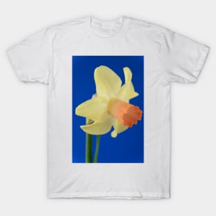 Narcissus  &#39;Prototype&#39;   Division 6 Cyclamineus Daffodil T-Shirt